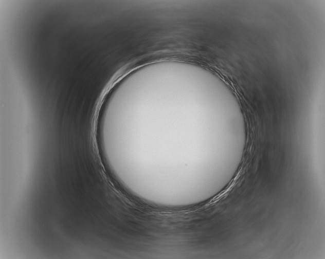 X0000116570150200912101010