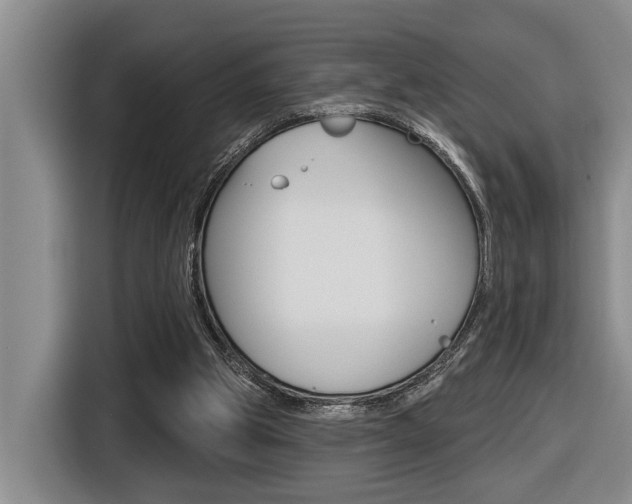 X0000116570153200912101010