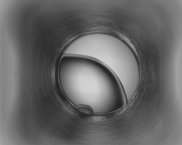 X0000116570154200912101010