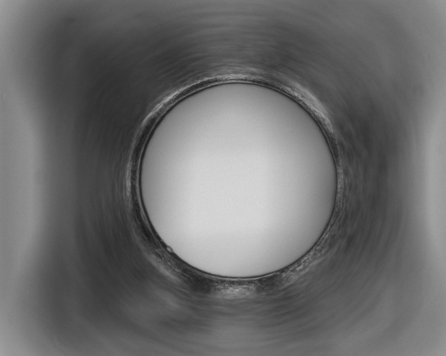 X0000116570155200912101010