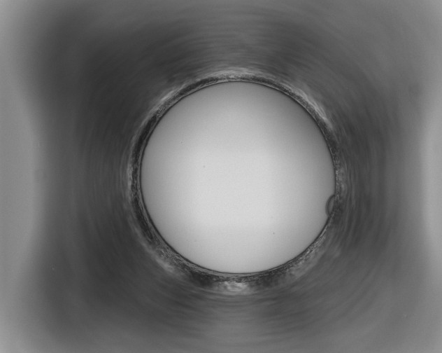 X0000116570159200912101010