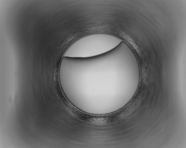 X0000116570161200912101010