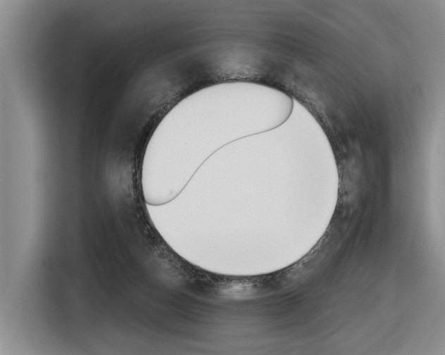 X0000116570162200912101010