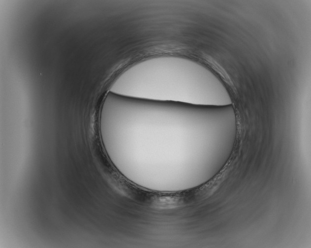 X0000116570163200912101010