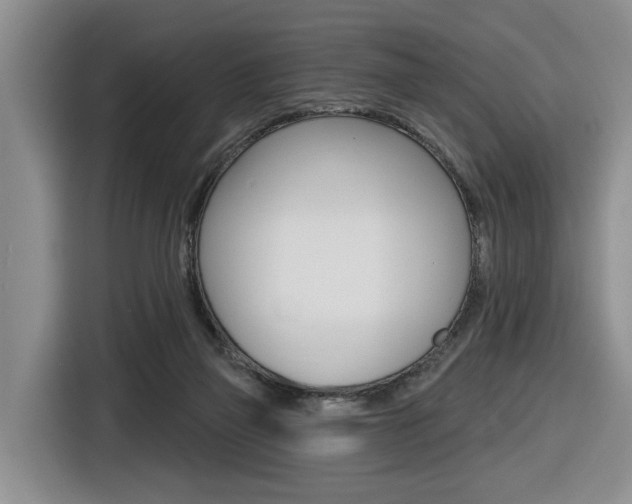 X0000116570165200912101010