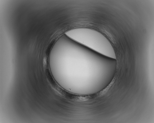 X0000116570166200912101010