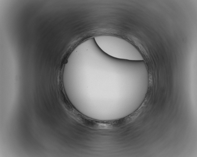 X0000116570167200912101010