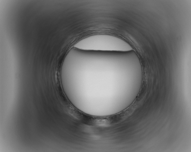 X0000116570169200912101010