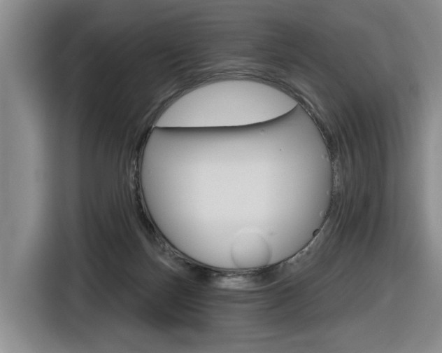 X0000116570171200912101010