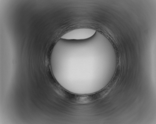 X0000116570173200912101010