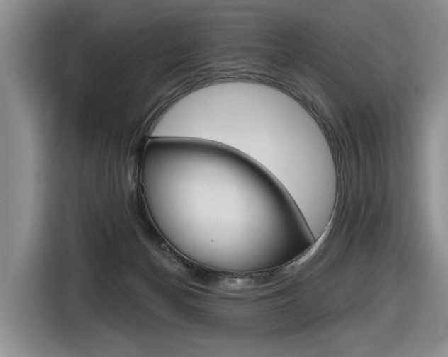 X0000116570174200912101010