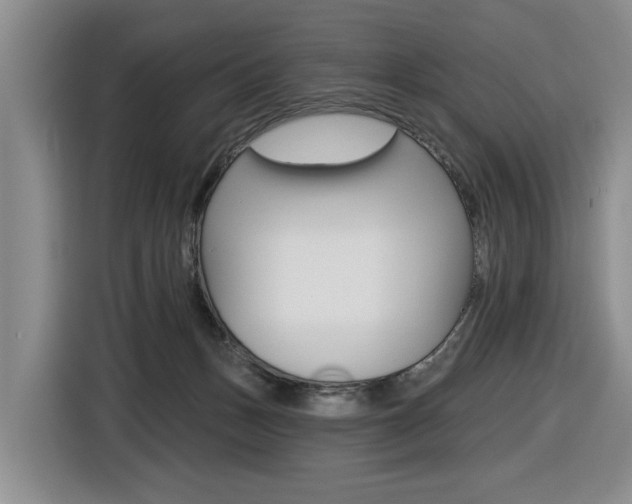 X0000116570175200912101010