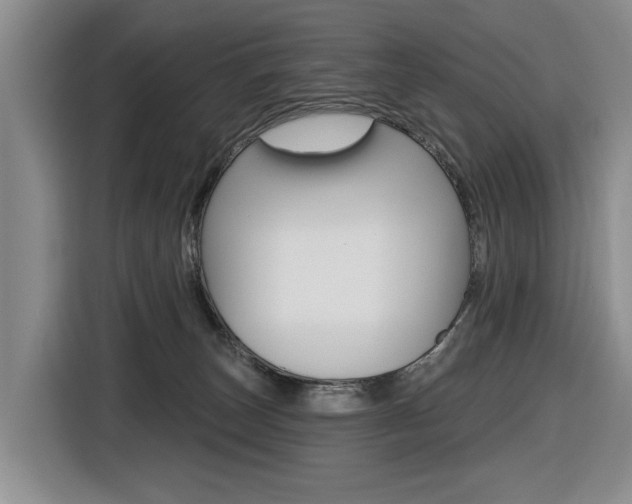 X0000116570179200912101011