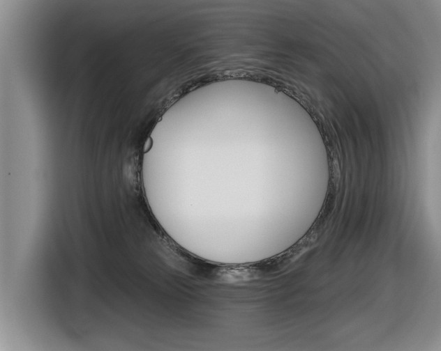 X0000116570181200912101011