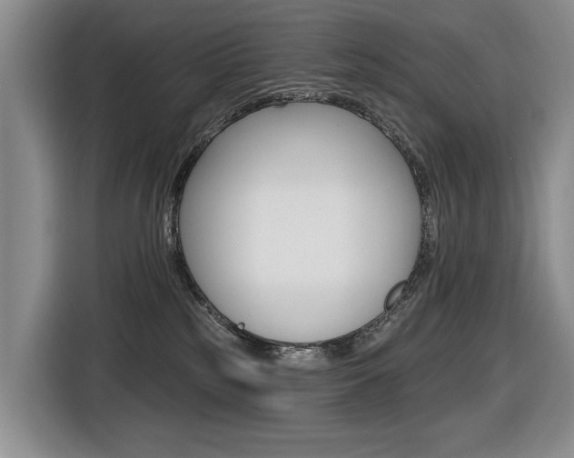 X0000116570185200912101011