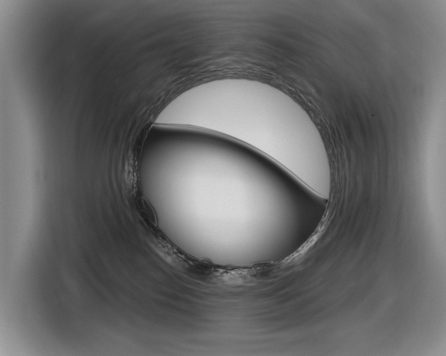 X0000116570186200912101011