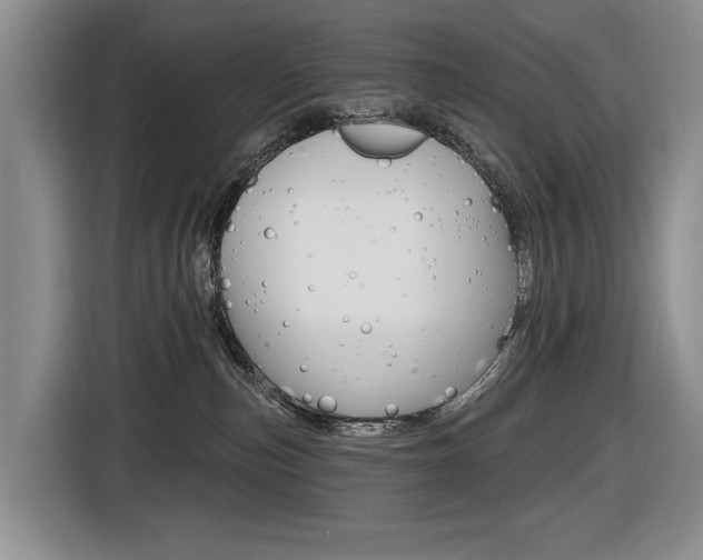 X0000116570187200912101011