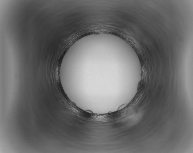 X0000116570189200912101011