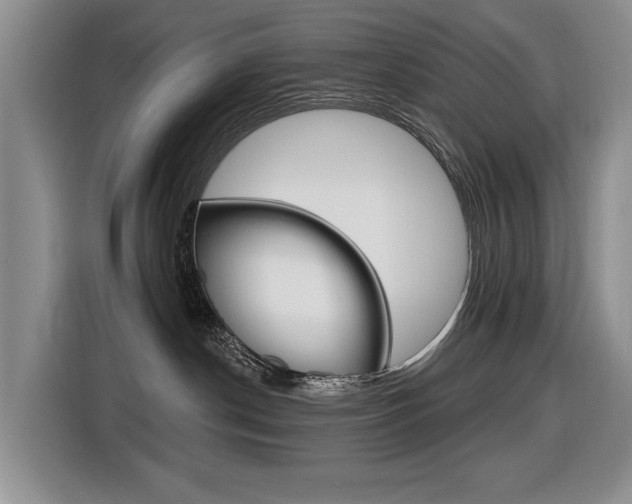 X0000116570190200912101011