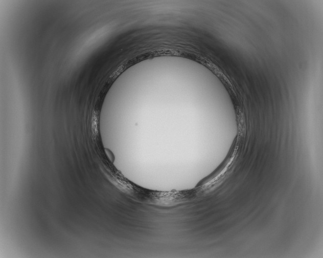 X0000116570191200912101011