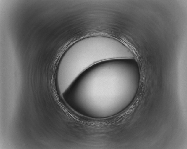 X0000116570193200912101010