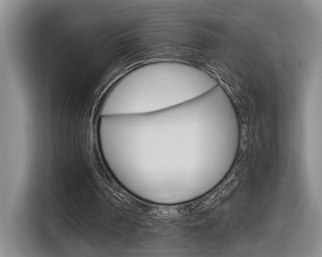 X0000116570194200912101010