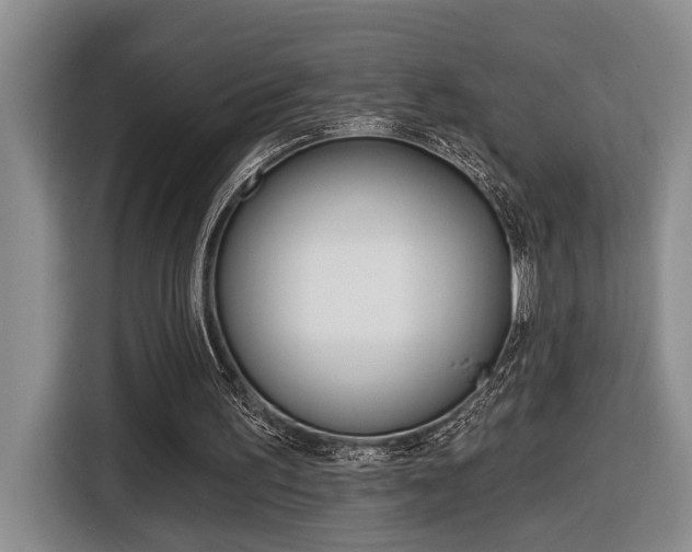 X0000116570195200912101010