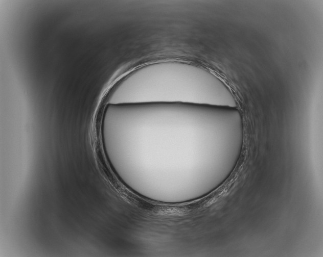 X0000116570198200912101010