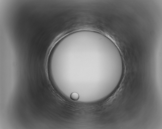 X0000116570199200912101010