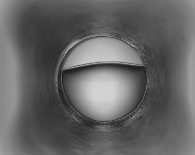 X0000116570200200912101010