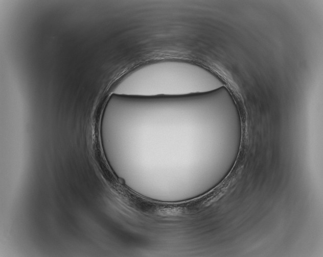 X0000116570202200912101010