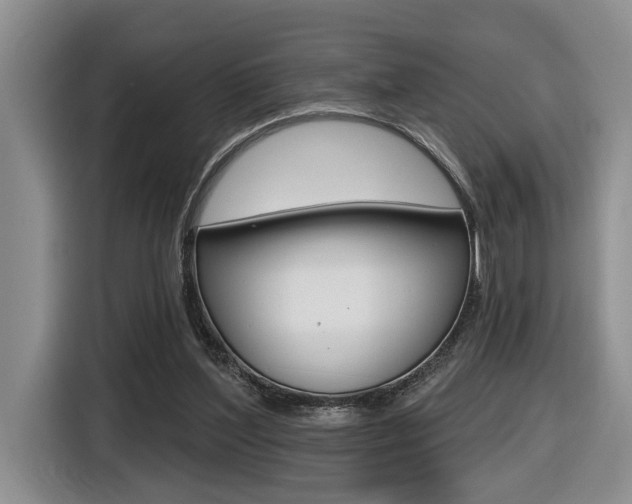 X0000116570204200912101010