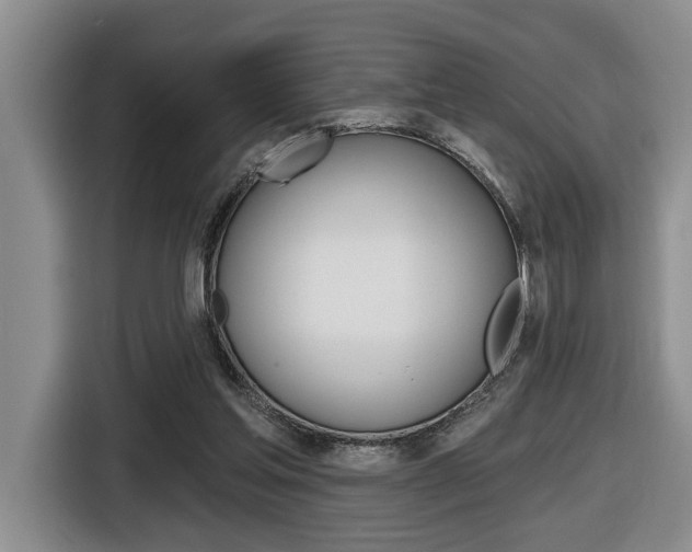 X0000116570205200912101010