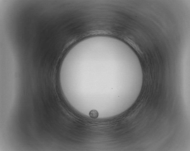 X0000116570207200912101010