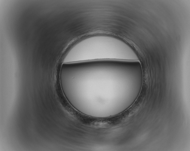 X0000116570208200912101010