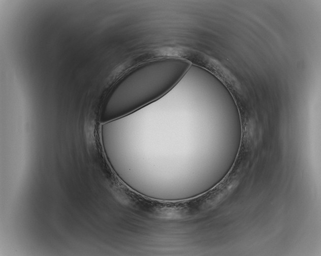 X0000116570209200912101010