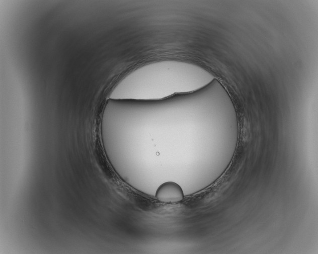 X0000116570210200912101010