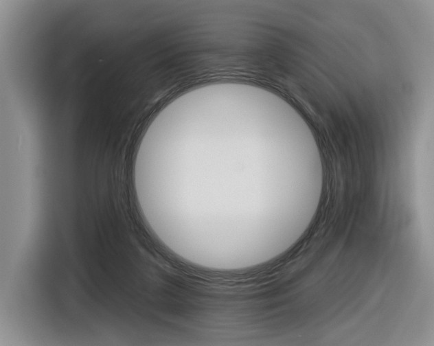 X0000116570211200912101010