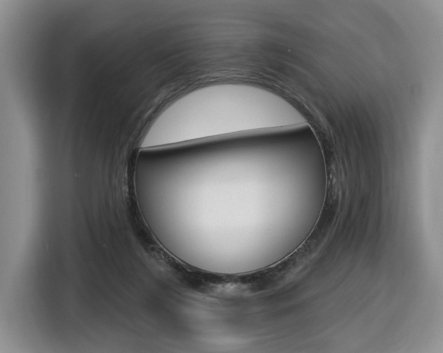 X0000116570212200912101010