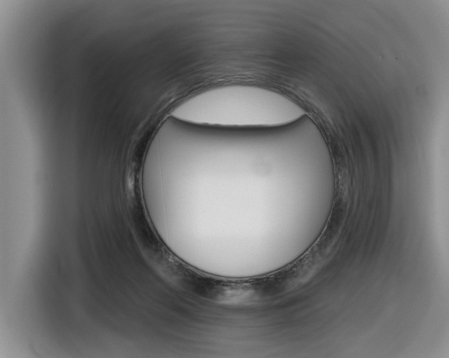 X0000116570214200912101010