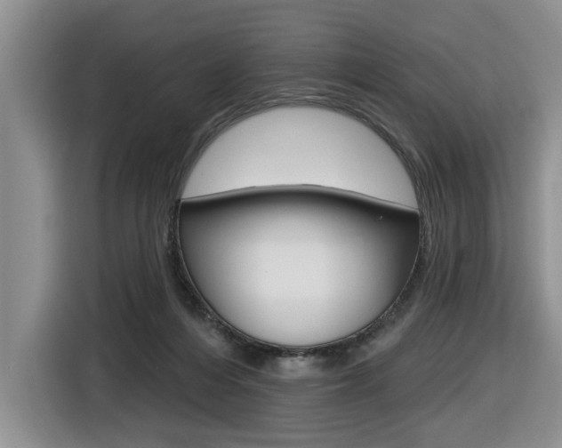 X0000116570216200912101010