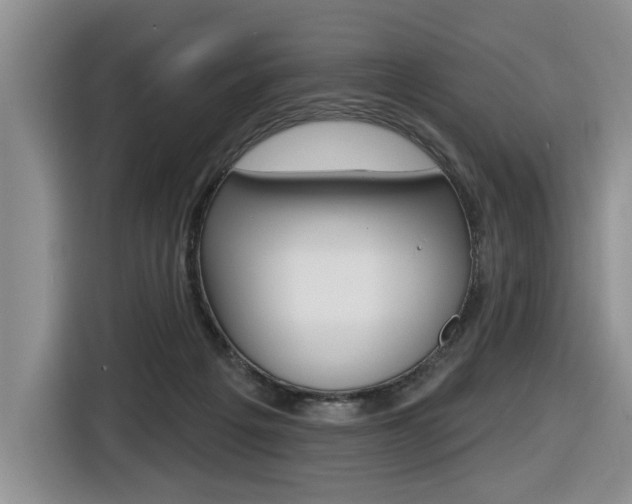 X0000116570217200912101010