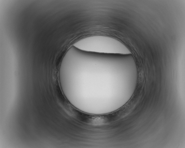 X0000116570218200912101010