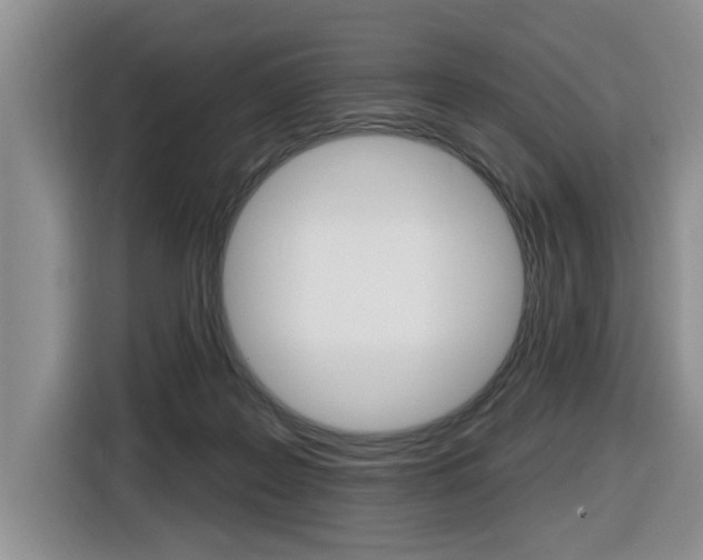 X0000116570219200912101010