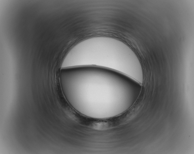 X0000116570220200912101010