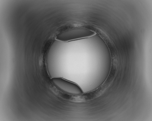 X0000116570221200912101010