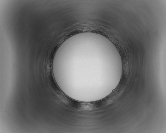 X0000116570226200912101010