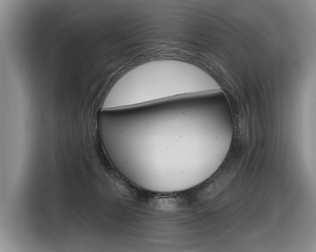 X0000116570228200912101010