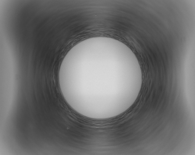 X0000116570229200912101010