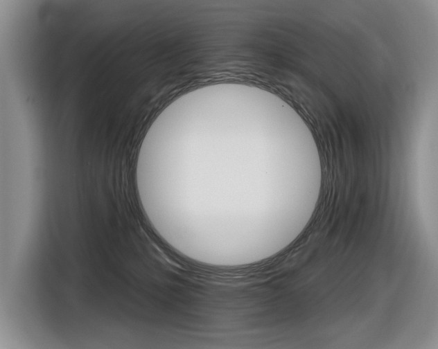 X0000116570231200912101010